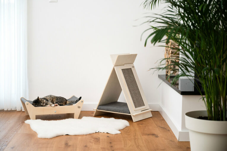 Luna-kucica-sa-grebalicom2