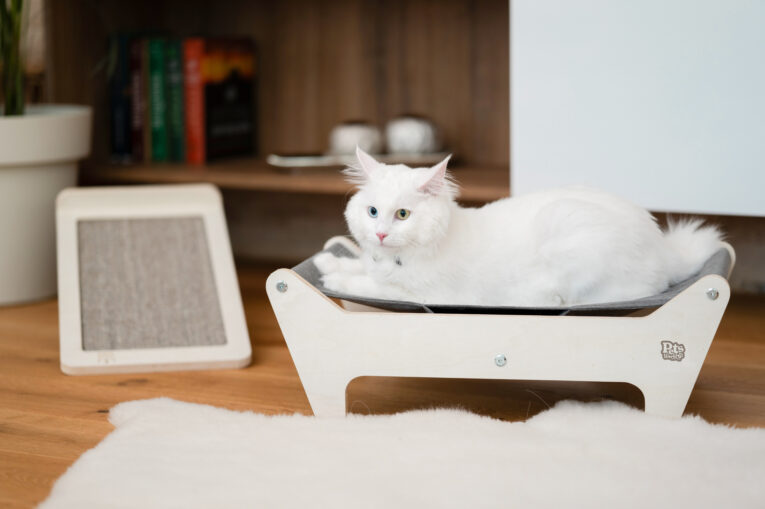 krevet-za-kucne-ljubimce-macke-Bella-ambijent-3